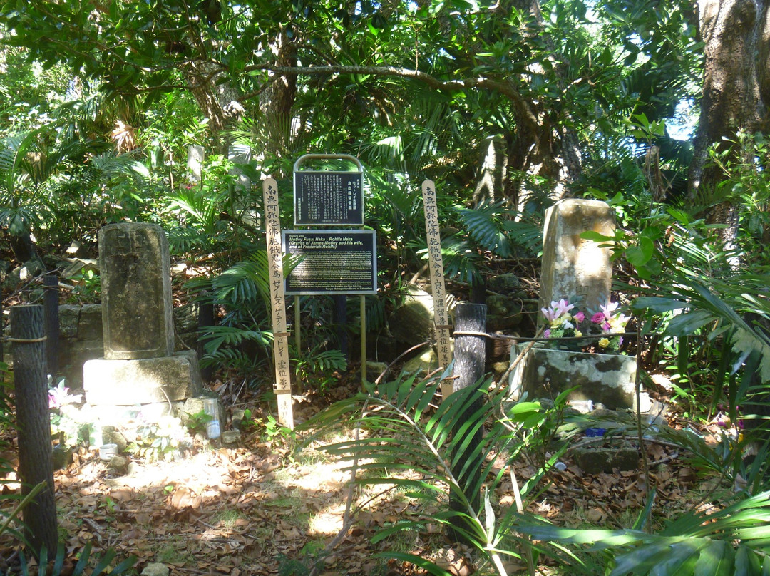 Mottley Couple and Rohlfs Tomb-小笠原村必去景点