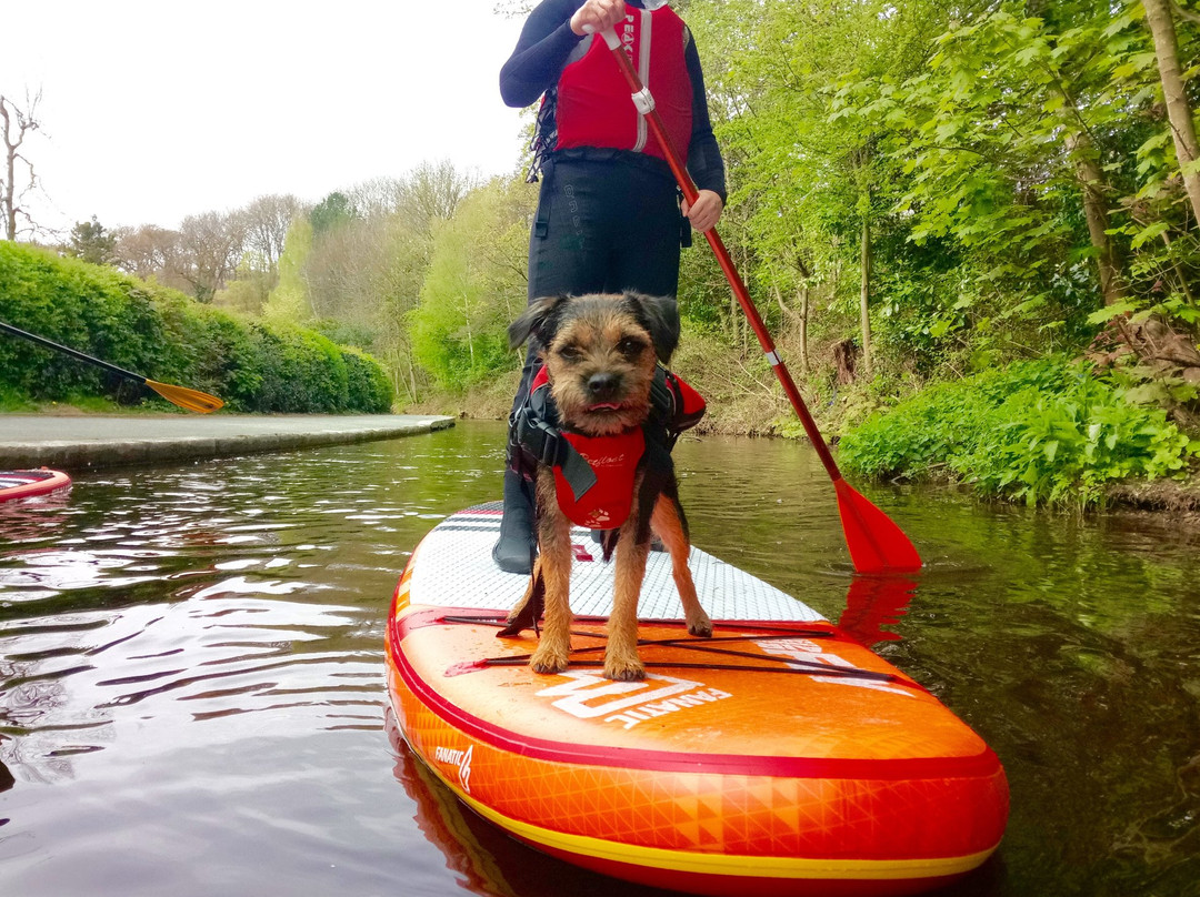 Stand Up Paddle Board UK景点图片