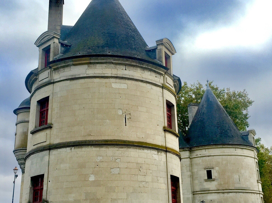 Pont Henri IV景点图片
