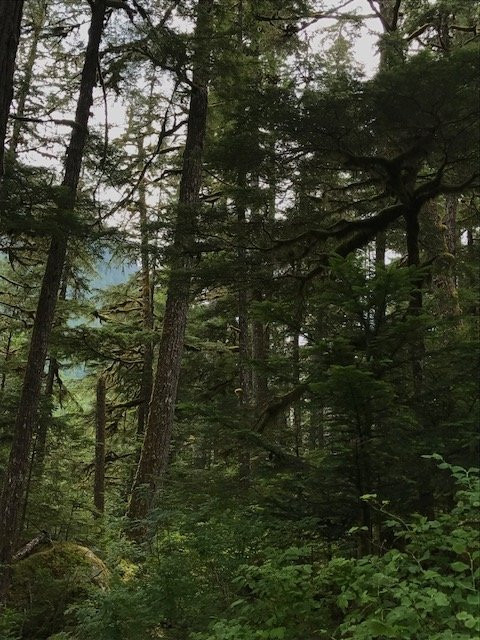 Petroglyph Galley-Bella Coola必去景点