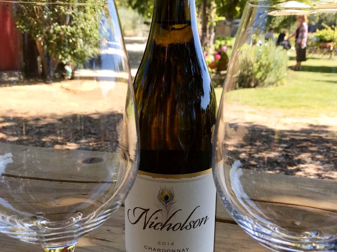 Nicholson Vineyards-阿普托斯必去景点