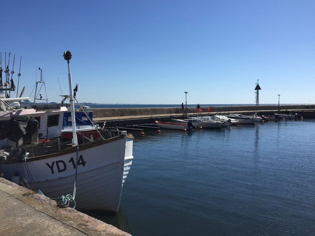 Abbekås Harbour-Abbekas必去景点