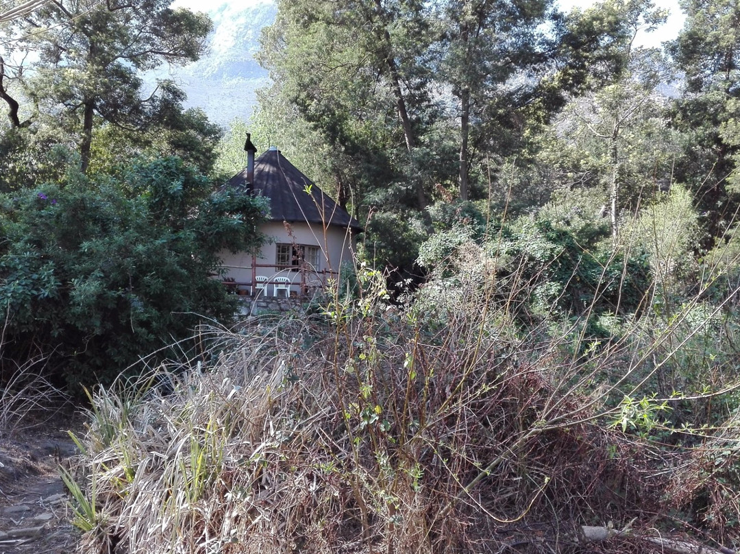 The River Siding