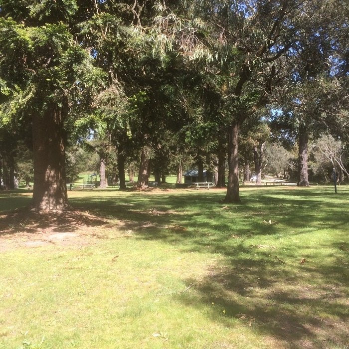 Mt Martha Public Park景点图片