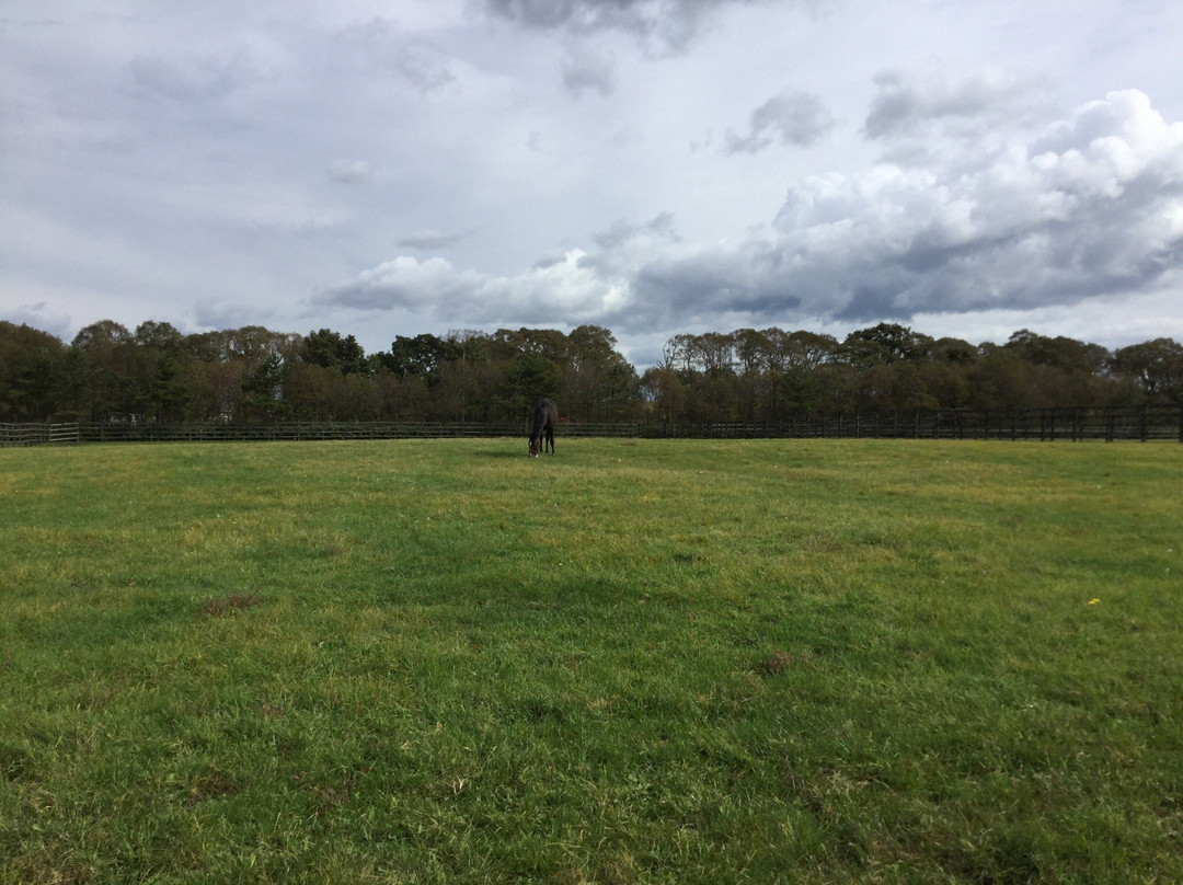 Breeders Stallions Station-日高町必去景点