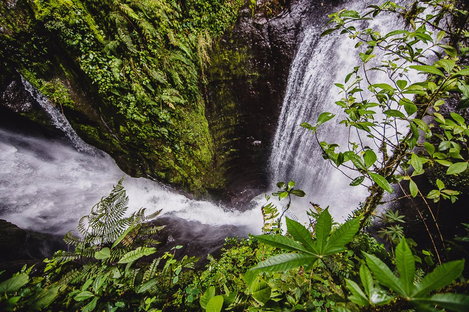 La Cueva de los Guacharos景点图片