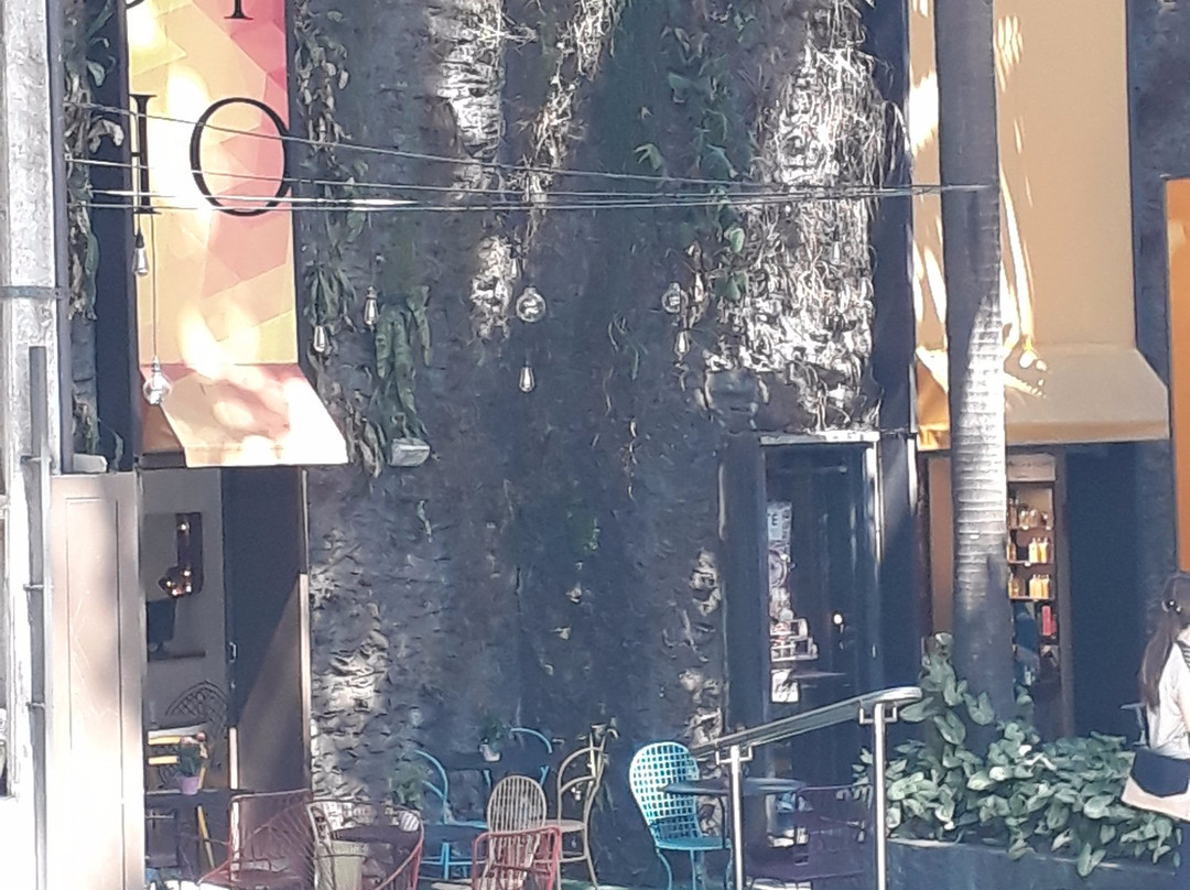 Spa L´Occitane Jardins-圣保罗必去景点