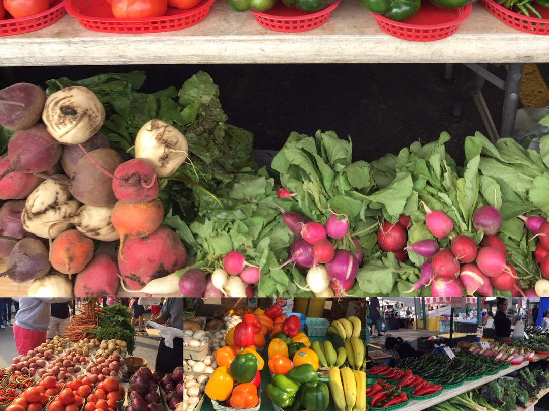 St. Paul Farmers Market-圣保罗必去景点