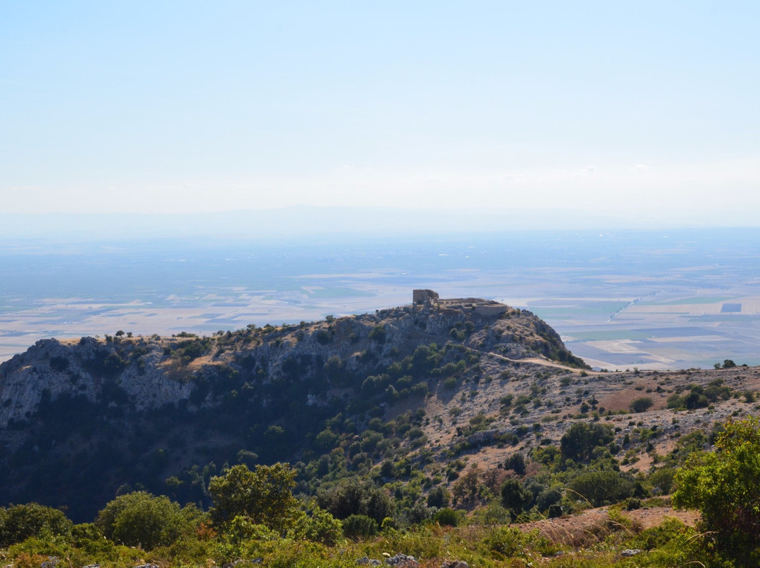 Apricena旅游攻略图片