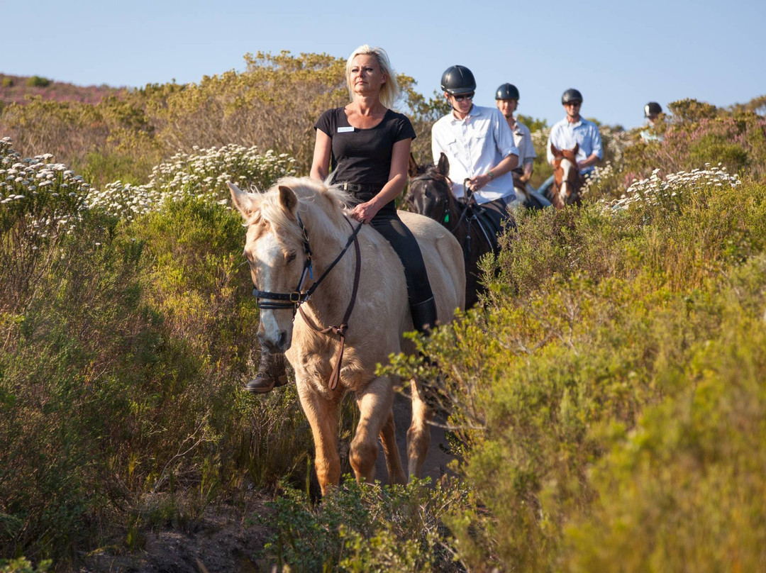 Corfu Riding Centre (Dimitris)ISSOS-Avlaki必去景点