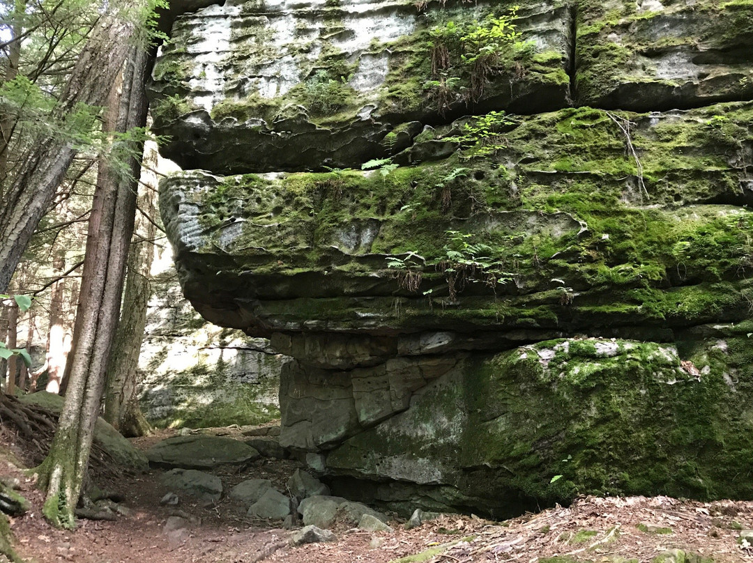 Bilger's Rocks景点图片