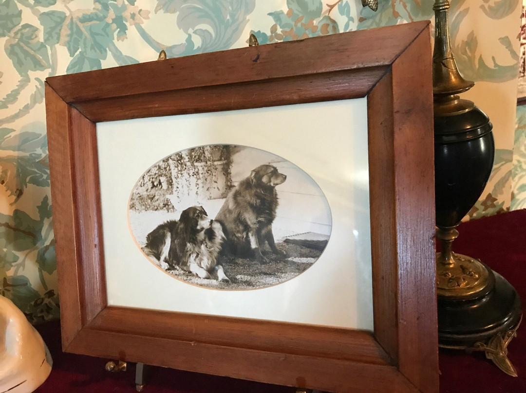 Campbell House Museum-圣路易斯必去景点