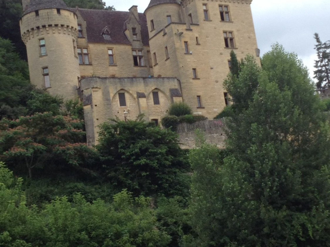 Castelnaud la ChapelleCanoë Kayak景点图片