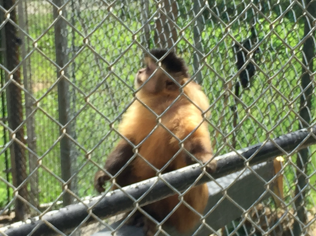East Coast Exotic Animal Rescue-Fairfield必去景点