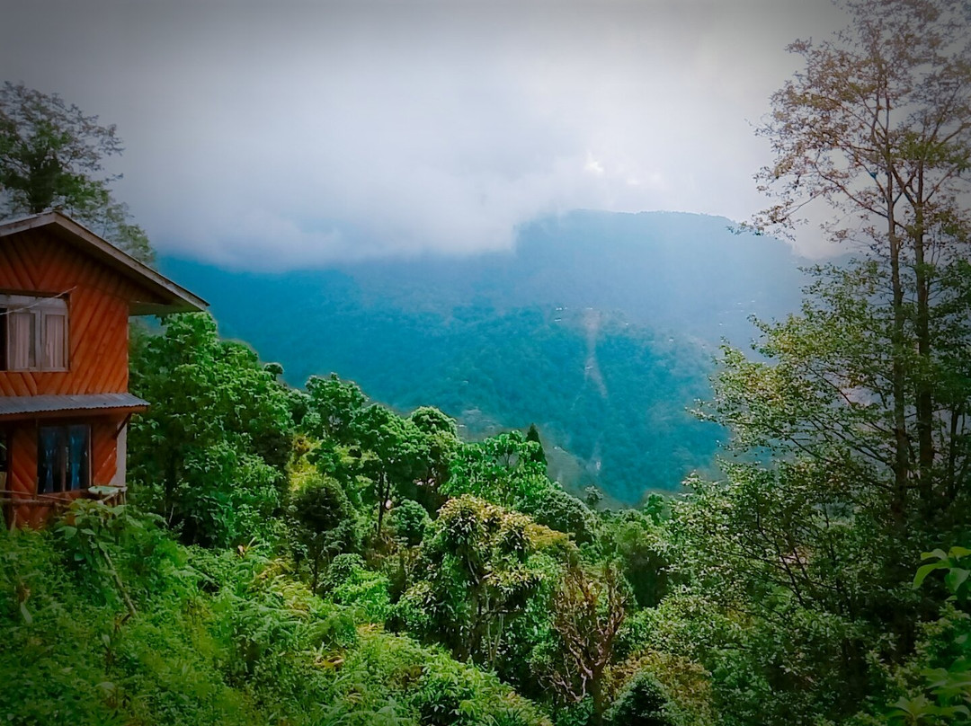 Kolakham Eco Huts主图