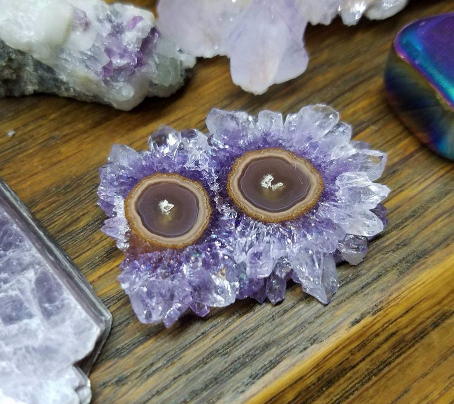 Anna Maria Rocks-Anna Maria必去景点