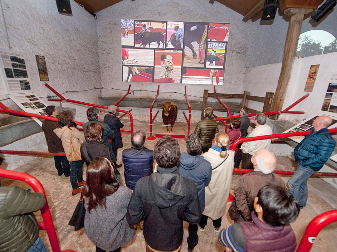 Plaza de Toros de Pamplona-潘普洛纳必去景点