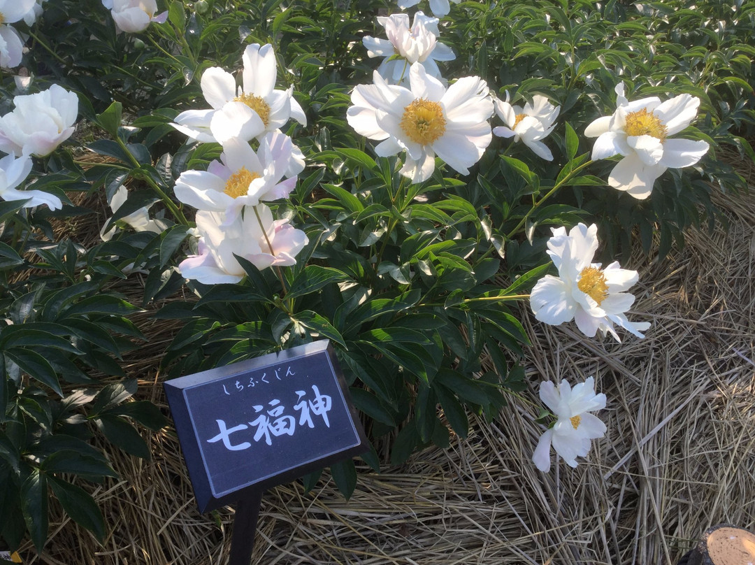 Kyuhojiryokuchi-八尾市必去景点