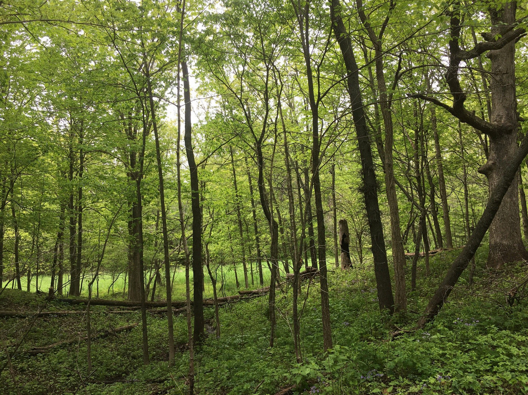 Walnut Point State Park-Oakland必去景点