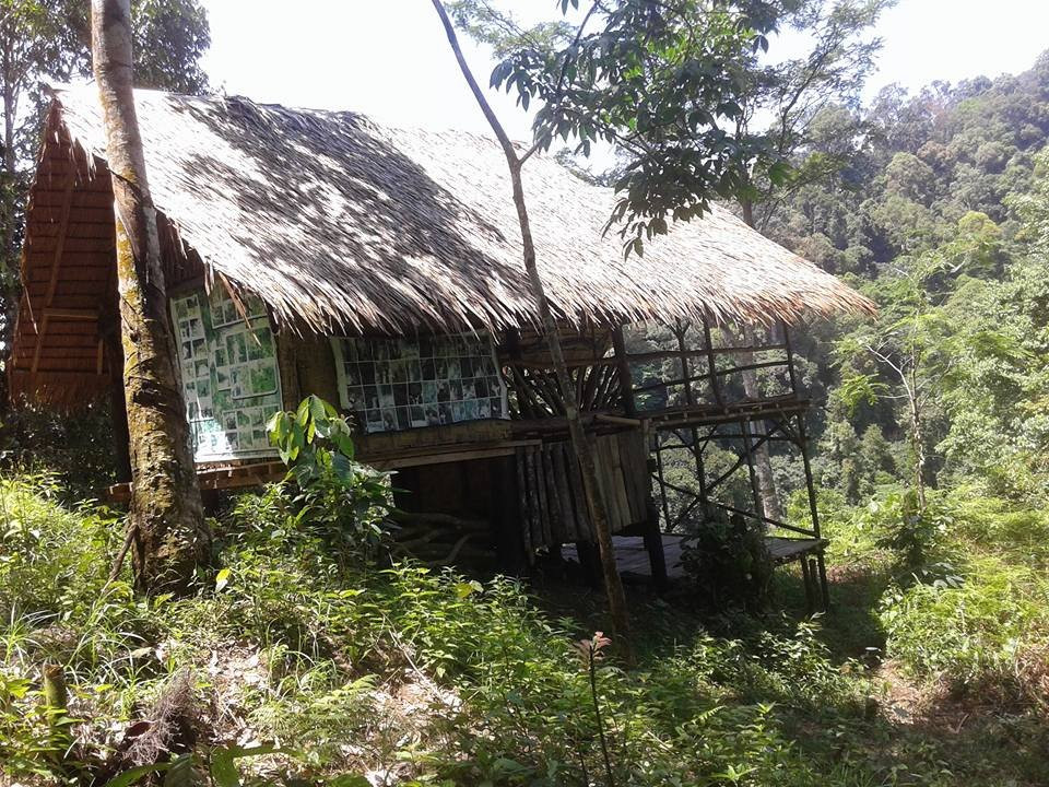 Bukit Lawang Planet-武吉拉旺必去景点