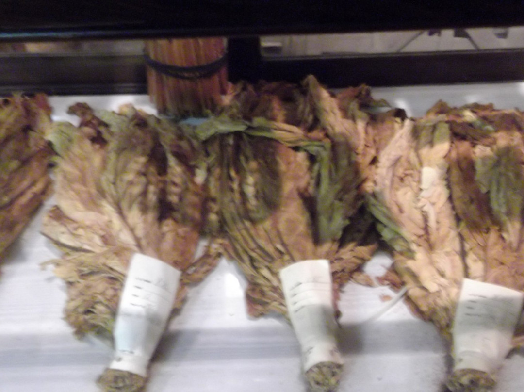 South Carolina Tobacco Museum景点图片
