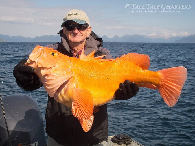 Tall Tale Charters-索尔多特纳必去景点