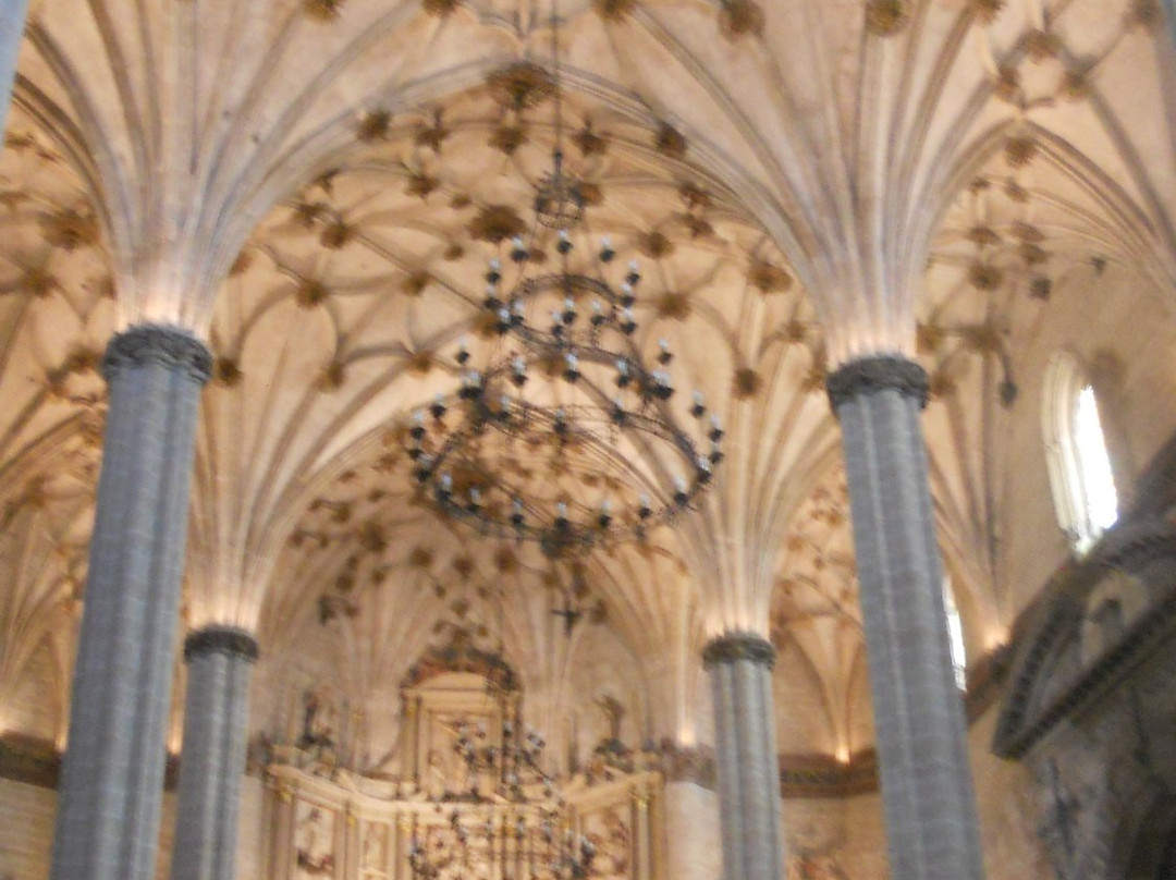 Catedral de Barbastro景点图片