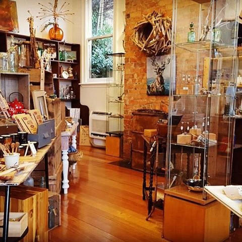 Jackeys Marsh旅游景点-Brush Rabbit