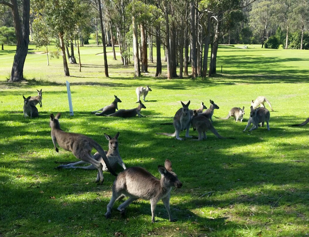 Eden Golf Course-伊登港必去景点