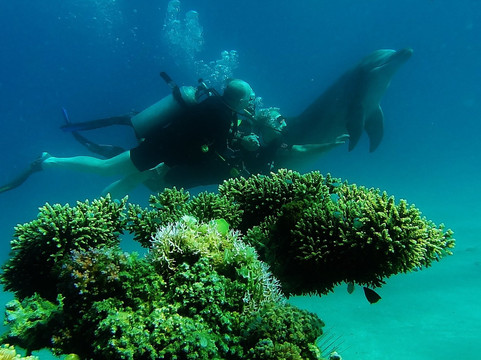 Israel Dive - diving in Eilat, Israel-埃拉特必去景点