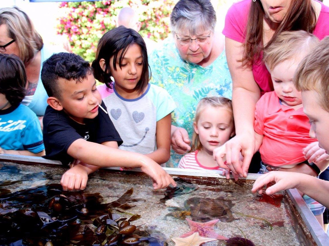 Riverside Metropolitan Museum-里弗赛德必去景点
