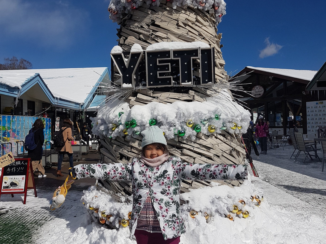 Snow Resort Yeti-裾野市必去景点