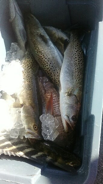 Captain Ryan Taylor Fishing Charters-布雷登顿必去景点