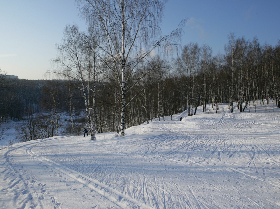 Ski Stadium Zorkiy景点图片