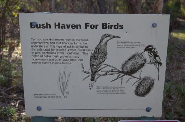 Penola Conservation Park景点图片