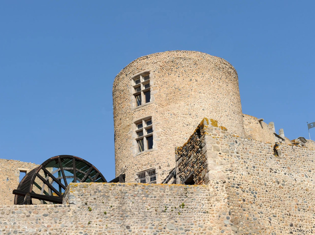 Château de Montrond les Bains景点图片