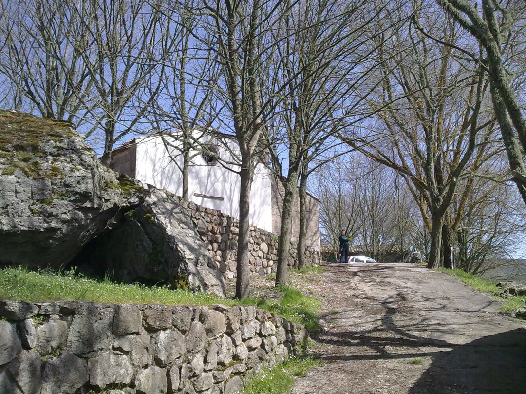 Santuario di Santa Maria di Sauccu景点图片