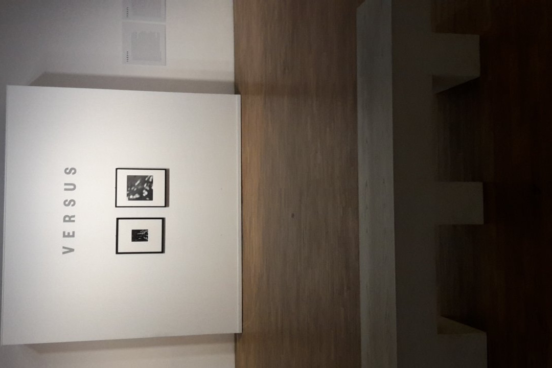 Galleria Civica di Modena-摩德纳必去景点