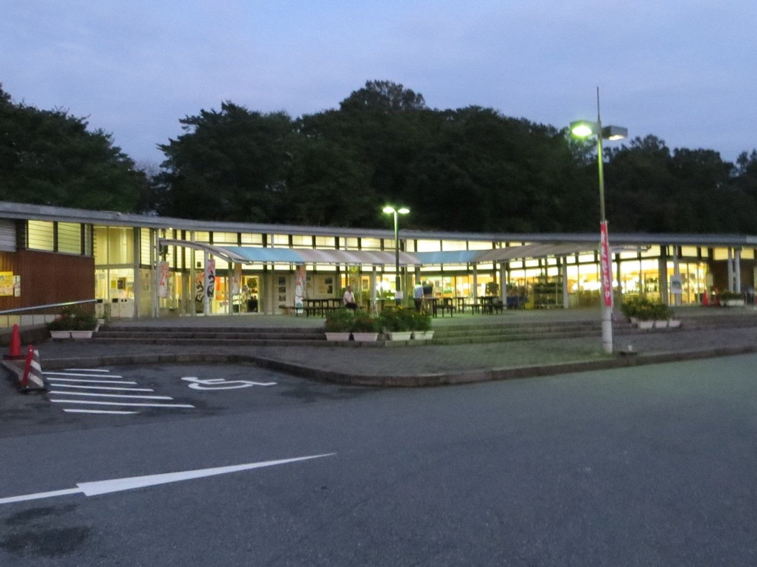 Michi no Eki Azunosato Ichihara-市原市必去景点