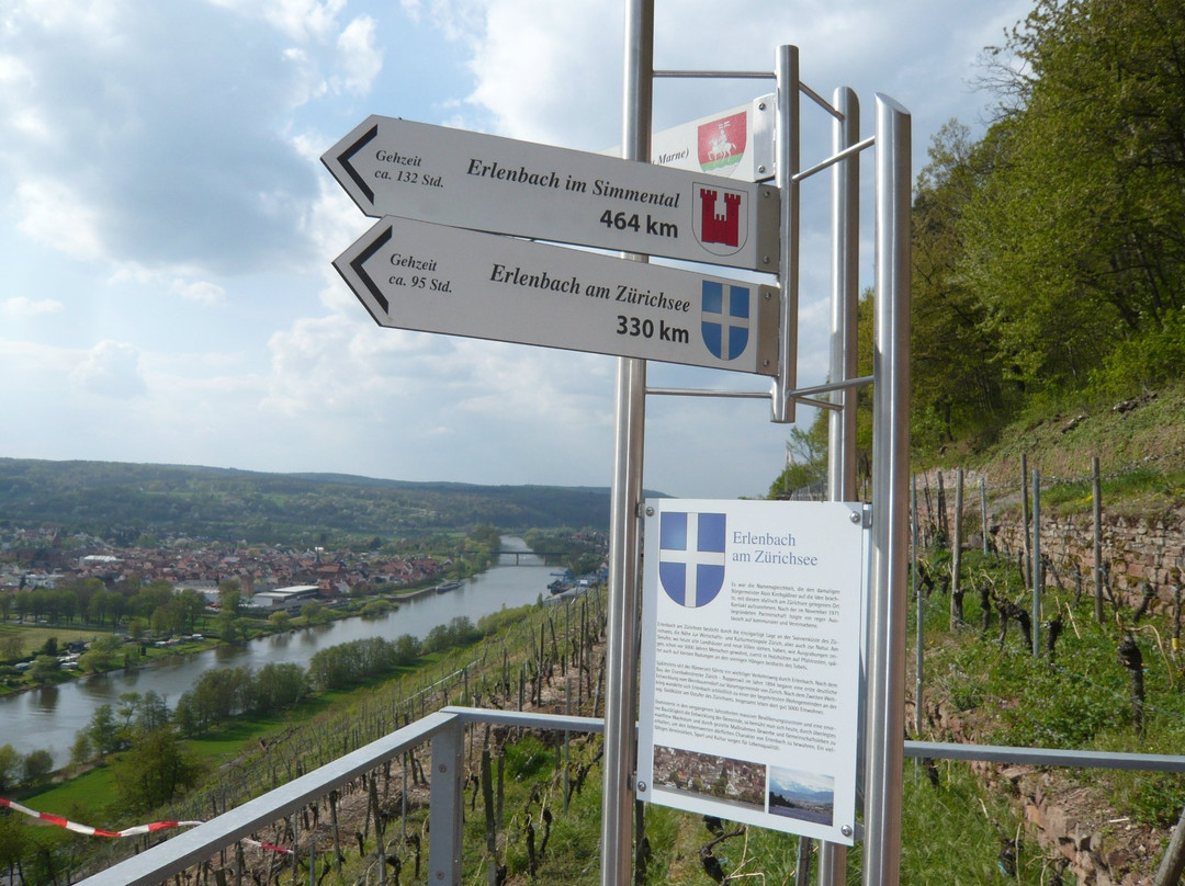 Picknickplattform mit Sonnenliegen im Weinberg-埃兰巴克必去景点