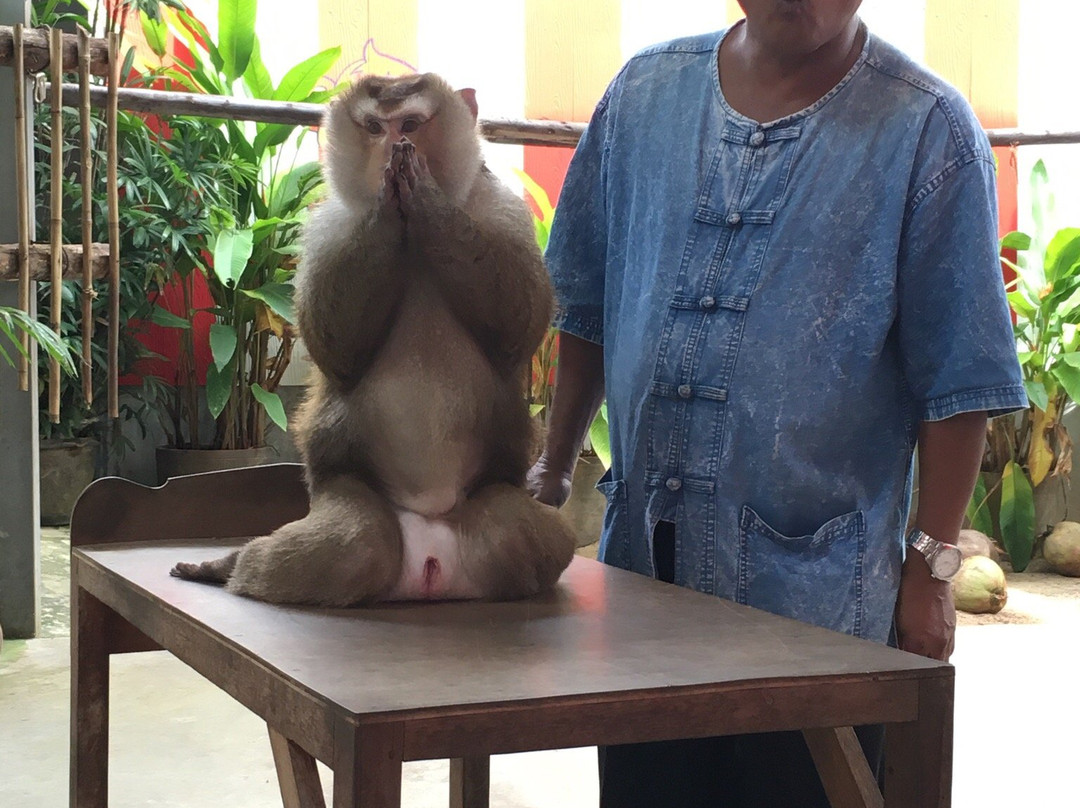 Phuket Bird Paradise-查龙必去景点