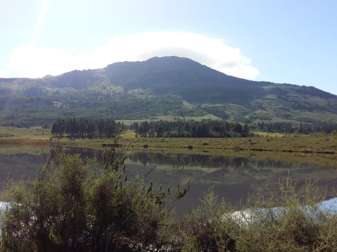 Hogsback Visitors' Information Centre-Hogsback必去景点