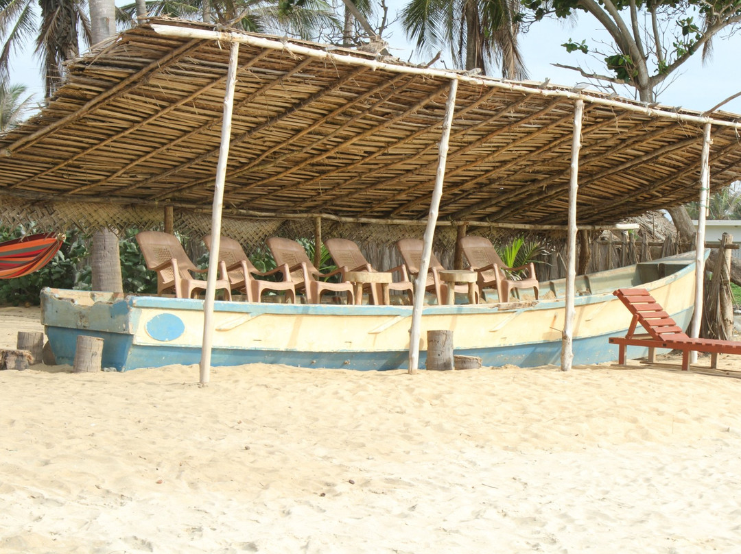 Dolphin Village主图