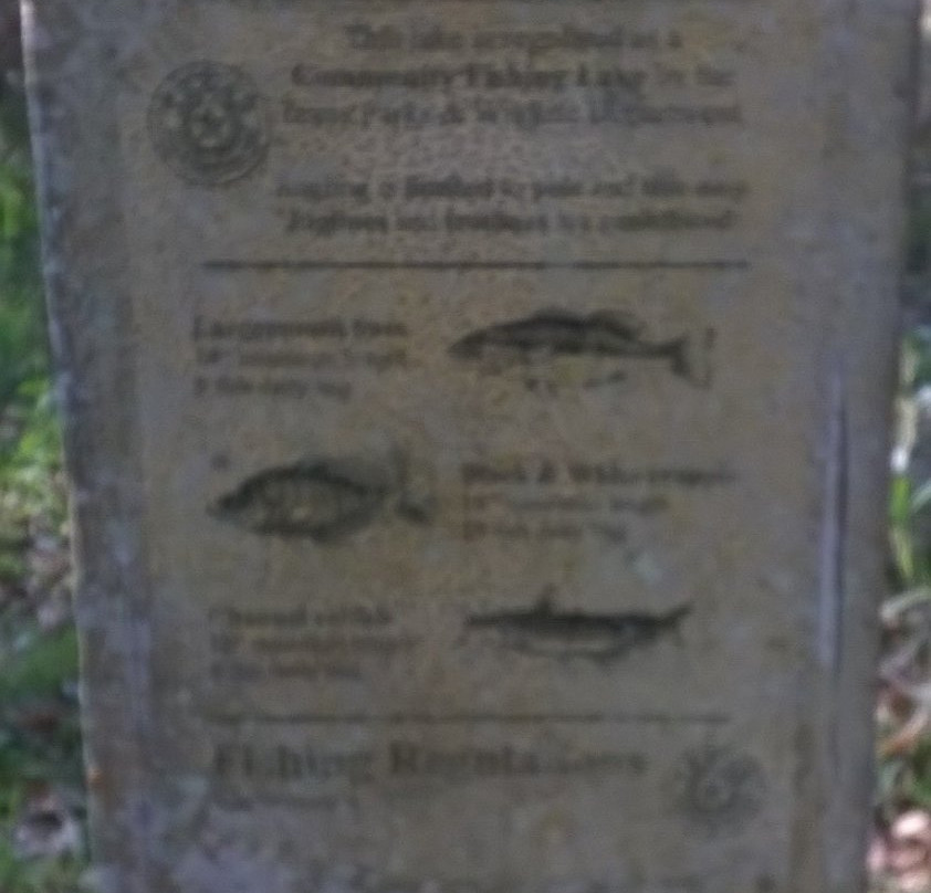 Wolf Creek Lake-Palestine必去景点