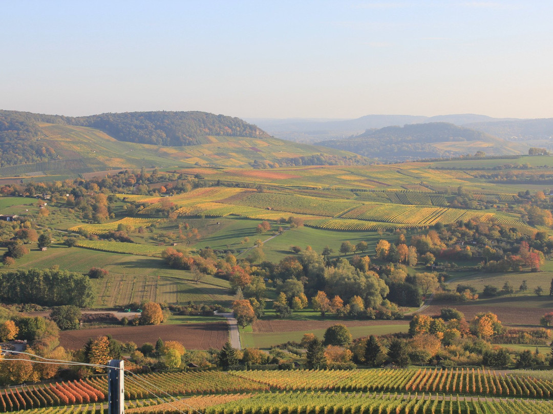 Holzapfel Winery景点图片