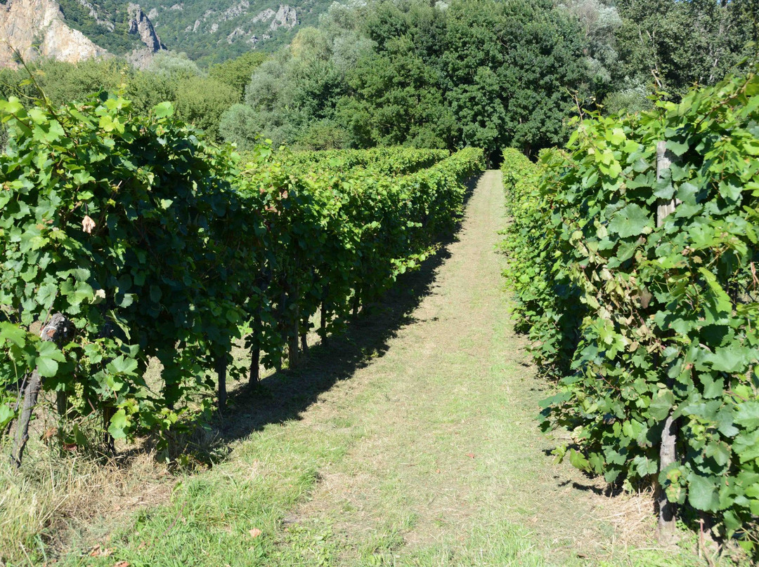 Fähre Dürnstein-都恩石必去景点