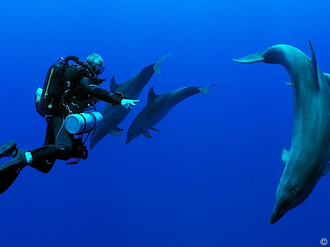 Rangiroa Diving Center景点图片