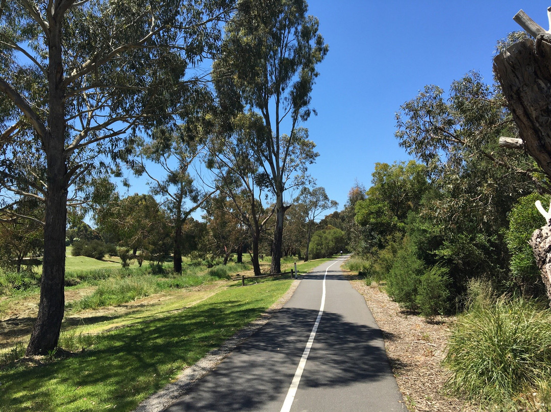Yarrabing Wetlands Reserve景点图片