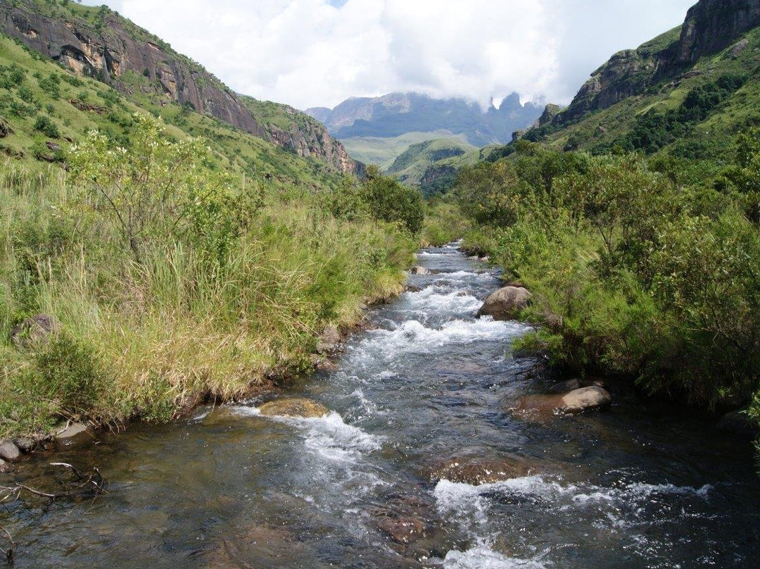 Injisuthi Camp