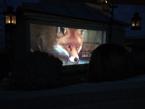 Vyatka Love-基洛夫必去景点